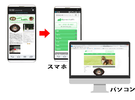 High Martシェルティ